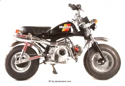 Honda Monkey Z50j Bj. 1985 
 